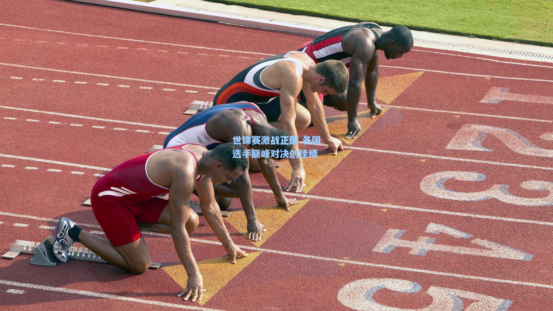 世锦赛激战正酣 各国选手巅峰对决创佳绩